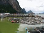 Fish Farms.JPG (63 KB)